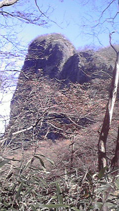 2010110312380000.jpg