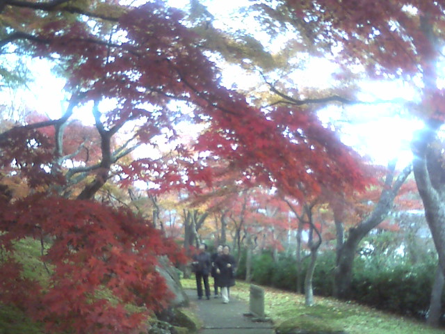 20101121160728.jpg