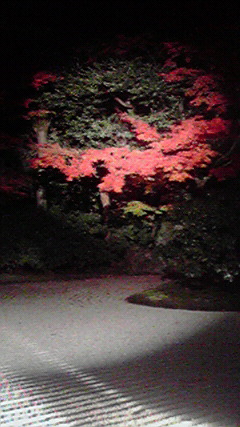 2010112321050001.jpg