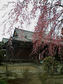 20110403092227.jpg