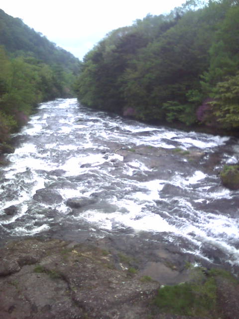 20110610152521.jpg