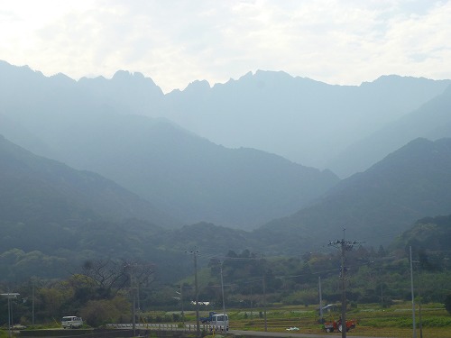 P1020273.jpg