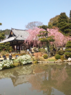 120408_104221.jpg