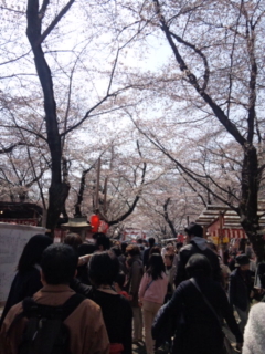 120408_135126.jpg