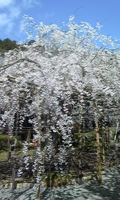 120414_142942.jpg