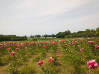 120701_130238_ed.jpg